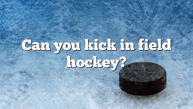 Can you kick in field hockey?