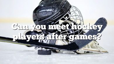 Can you meet hockey players after games?