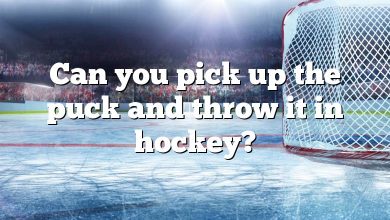 Can you pick up the puck and throw it in hockey?