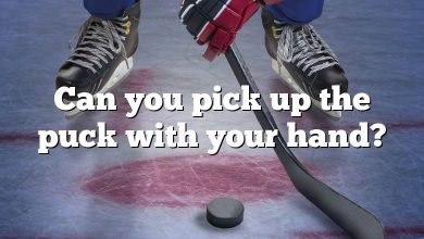 Can you pick up the puck with your hand?