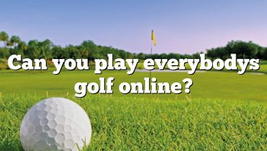 Can you play everybodys golf online?