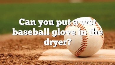 Can you put a wet baseball glove in the dryer?