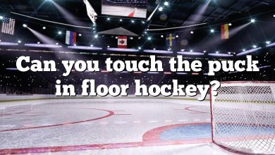 Can you touch the puck in floor hockey?