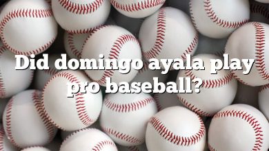Did domingo ayala play pro baseball?