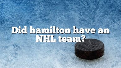 Did hamilton have an NHL team?