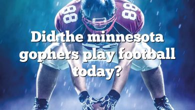 Did the minnesota gophers play football today?
