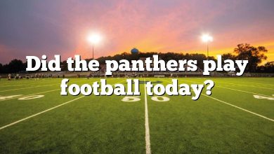 Did the panthers play football today?