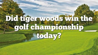 Did tiger woods win the golf championship today?