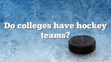 Do colleges have hockey teams?