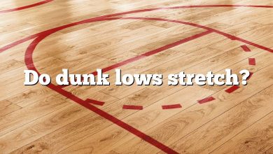 Do dunk lows stretch?