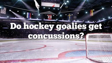 Do hockey goalies get concussions?