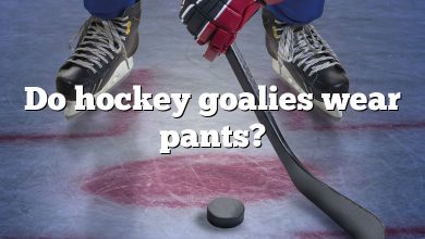 Do hockey goalies wear pants?