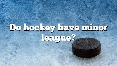 Do hockey have minor league?