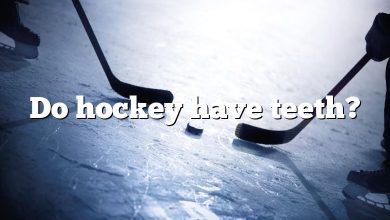 Do hockey have teeth?