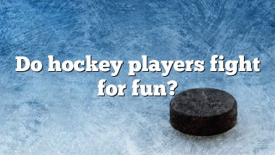 Do hockey players fight for fun?