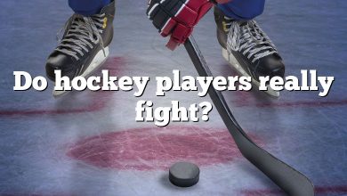 Do hockey players really fight?