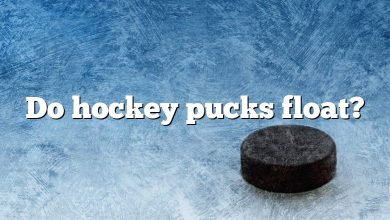 Do hockey pucks float?