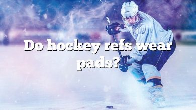 Do hockey refs wear pads?