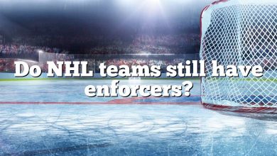 Do NHL teams still have enforcers?