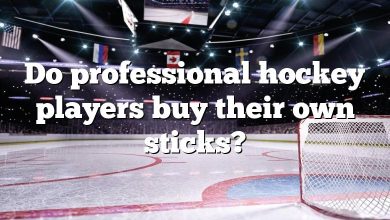 Do professional hockey players buy their own sticks?
