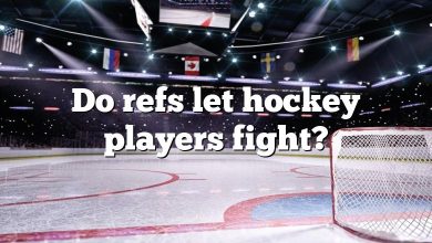 Do refs let hockey players fight?