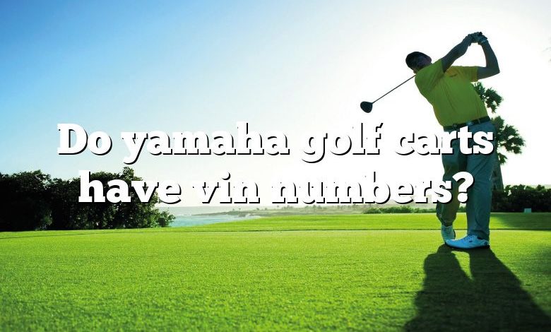 Do yamaha golf carts have vin numbers?