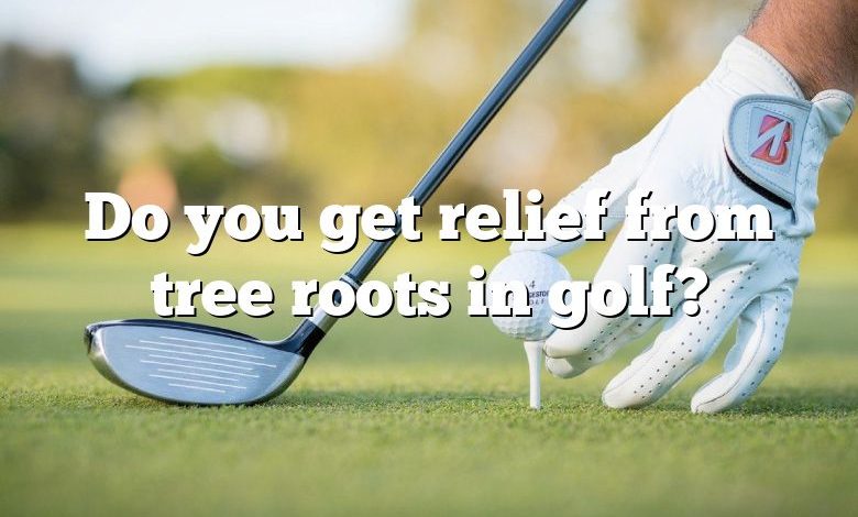 Do you get relief from tree roots in golf?