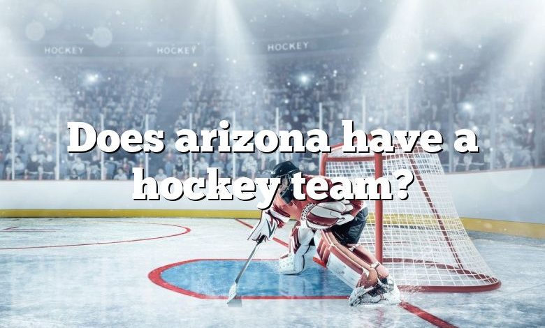 Does arizona have a hockey team?