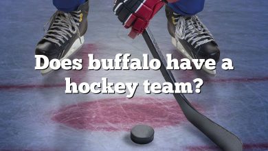 Does buffalo have a hockey team?