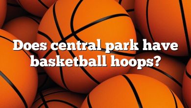 Does central park have basketball hoops?