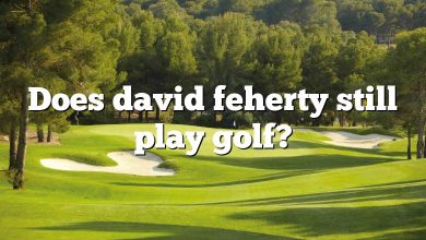 Does david feherty still play golf?