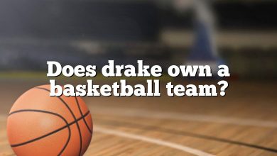 Does drake own a basketball team?