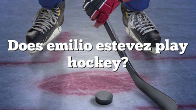 Does emilio estevez play hockey?
