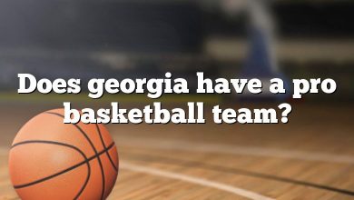 Does georgia have a pro basketball team?