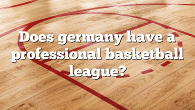 Does germany have a professional basketball league?