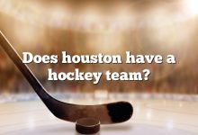 Does houston have a hockey team?