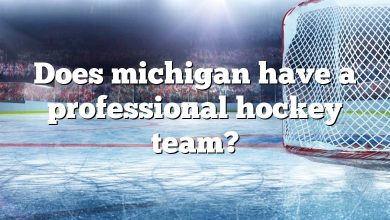 Does michigan have a professional hockey team?