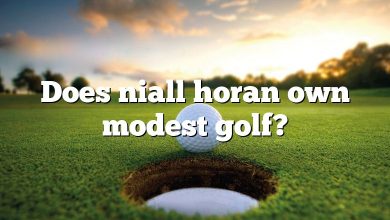 Does niall horan own modest golf?