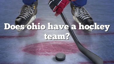 Does ohio have a hockey team?