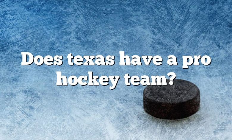 Does texas have a pro hockey team?
