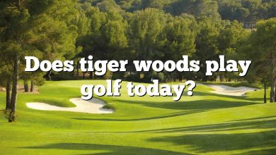 Does tiger woods play golf today?