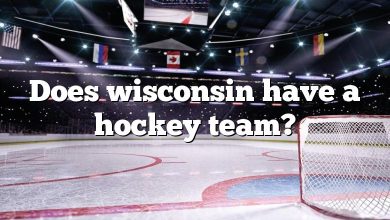 Does wisconsin have a hockey team?