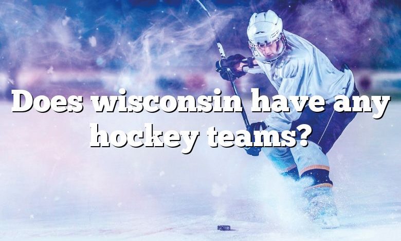 Does wisconsin have any hockey teams?