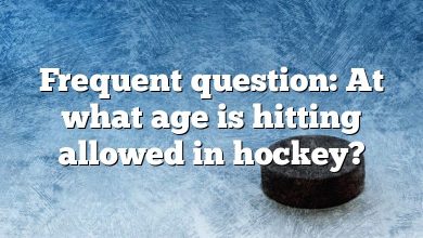 Frequent question: At what age is hitting allowed in hockey?