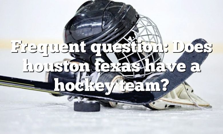 Frequent question: Does houston texas have a hockey team?