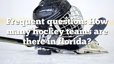 Frequent question: How many hockey teams are there in florida?