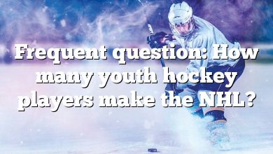 Frequent question: How many youth hockey players make the NHL?