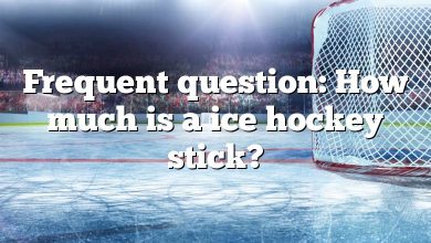 Frequent question: How much is a ice hockey stick?