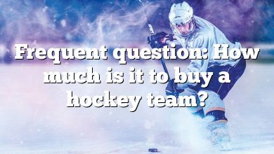 Frequent question: How much is it to buy a hockey team?