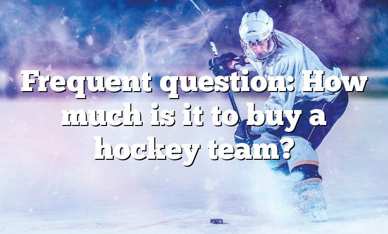 Frequent question: How much is it to buy a hockey team?